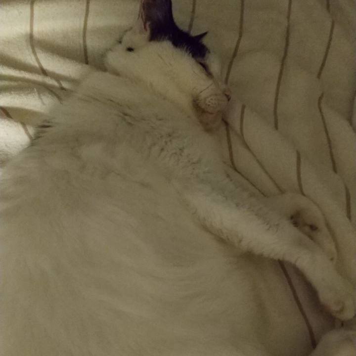 61b2d2a8 7446 493e 9e07 3e816d8d25c3 1663048459270