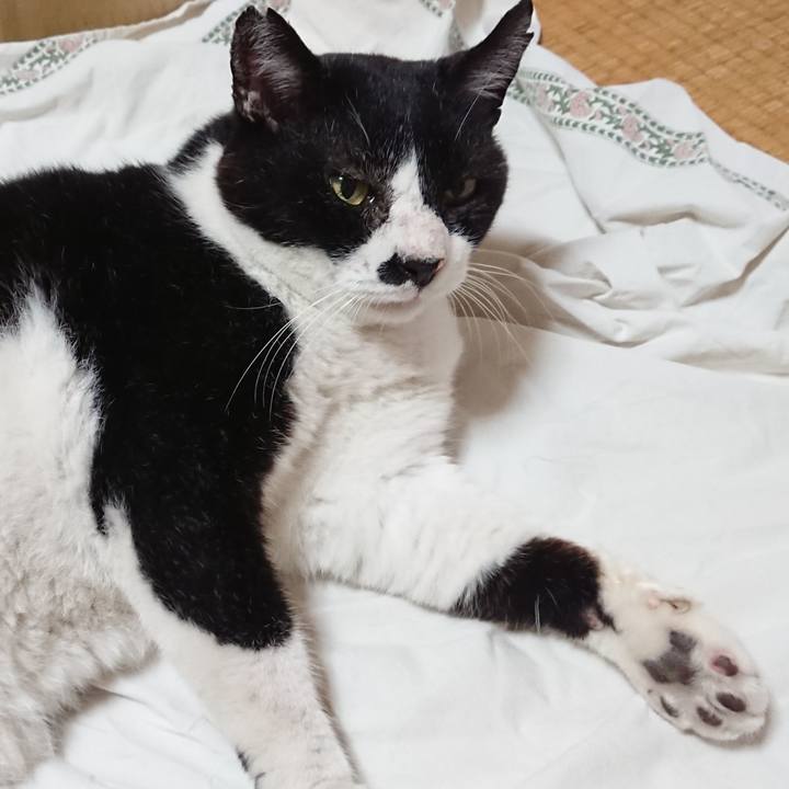 61b2ec17 1cd0 4022 8131 a2bc509b7466 1659996001921