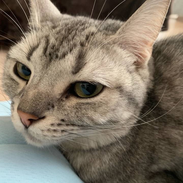 61b32793 479f 43a4 88b0 2140ae1d6a4f 1557441657180