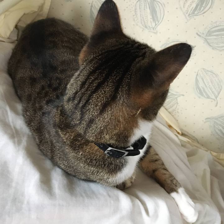 61b3350d afed 4e0d 8952 58c6e75abbfe 1672346581408