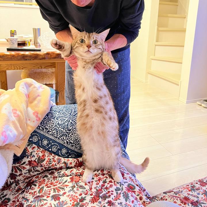 61b34675 f8fd 478d a162 bcf30b41dad8 1683290431164