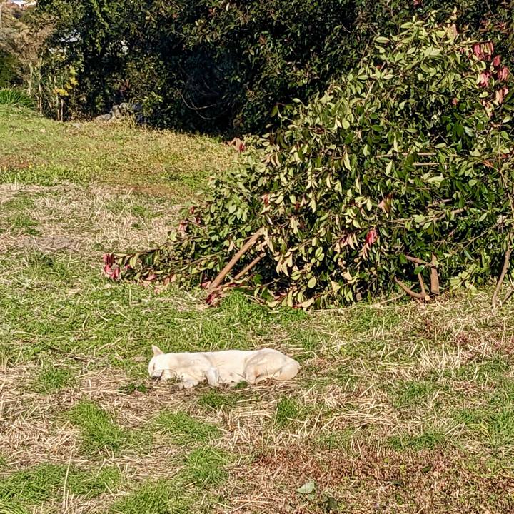 61b37cab d03a 41a9 b179 d7f2e03e1a57 1767785128704