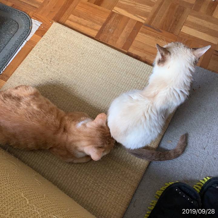 61b394a4 e27e 4083 8daa 2efb1cfb8abe 1569627563350