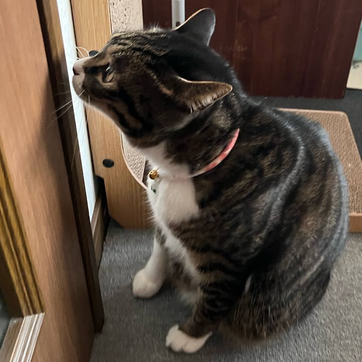 61b39da4 5233 4914 81ea c4fd98861044 1773097749548