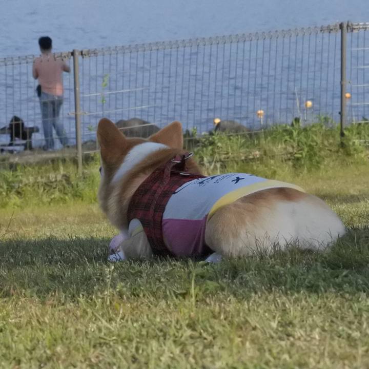 61b3ede5 d38f 416d b4ea 60e81220efa0 1558785207446