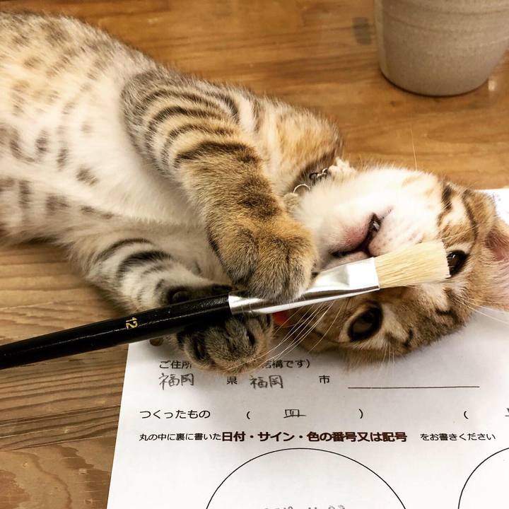 61b40cc5 c411 4cdc 9571 82d532d34067 1579134328864