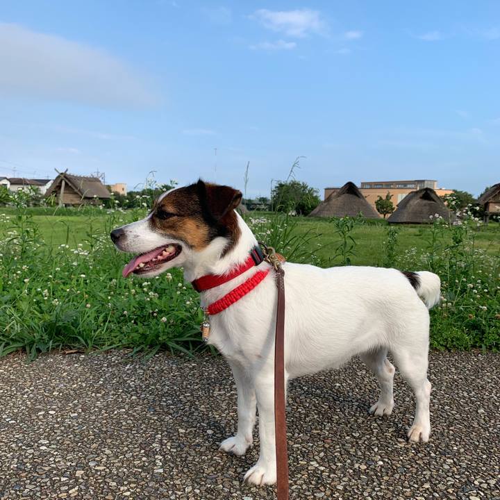 61b423a4 e5ea 4ec7 86f5 5430ee058246 1563869628316