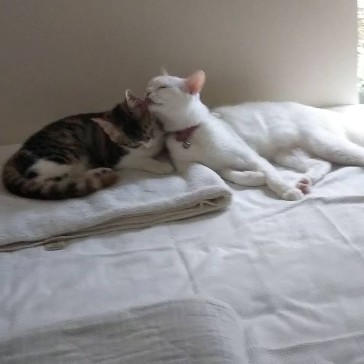 61b42e33 5d6b 4e34 a25b 59960aaf86fe 1630214290118