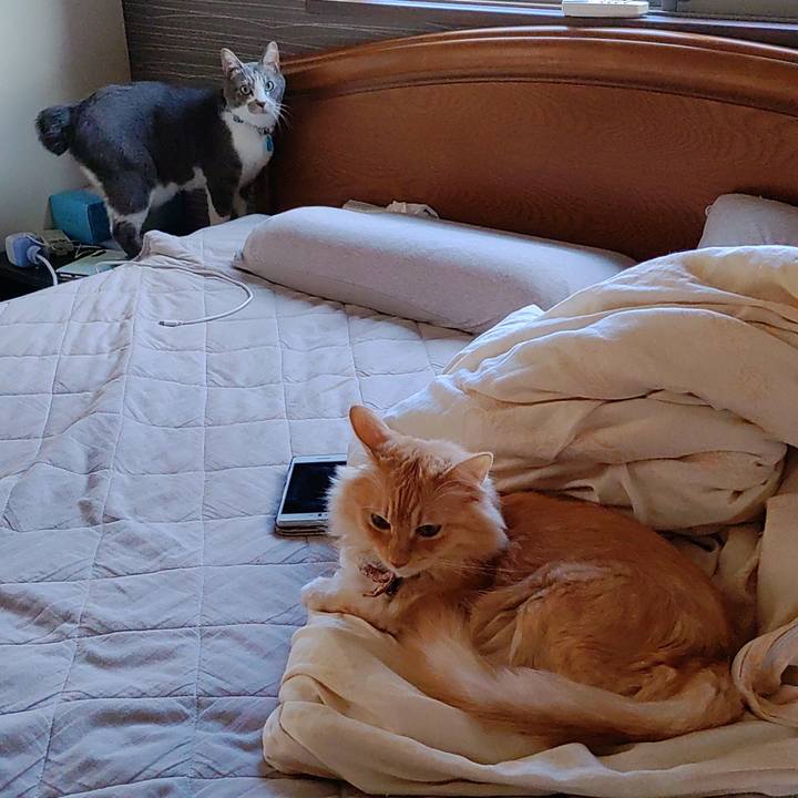 61b47ba5 e7c6 44c6 8aa3 dc7636462b45 1696200961838