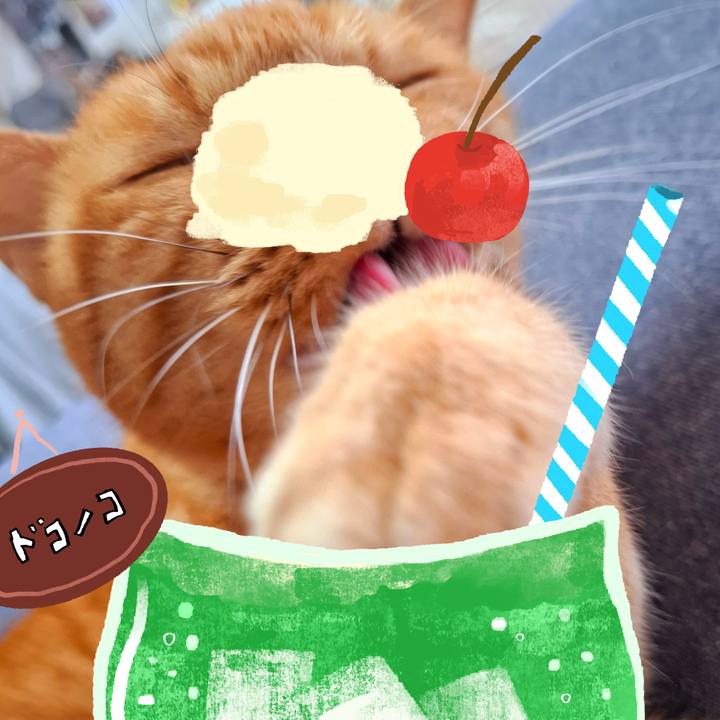 61b49c68 6350 4c19 a8cd cf529c7c2715 1755069920312