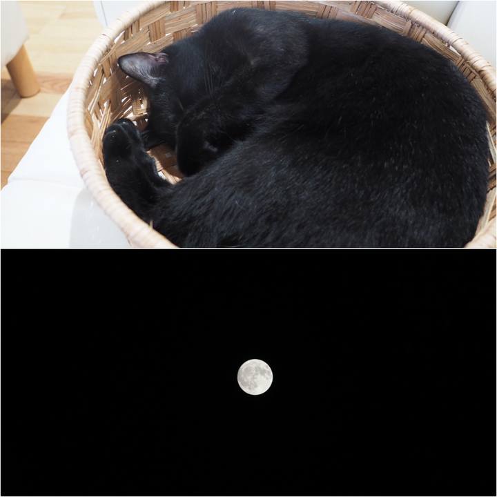 61b49f12 6210 4666 ba3b 84dc5e69e15c 1537795030456