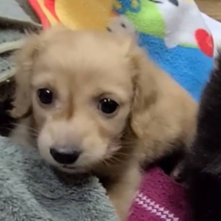 61b4cd09 133b 4379 bcb0 2baeb39f52e1 1751185532945