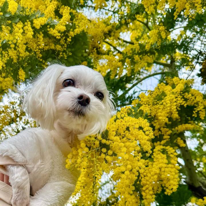 61b4d1a8 8ce2 42a4 bc13 f5513d1e15d8 1771315639636