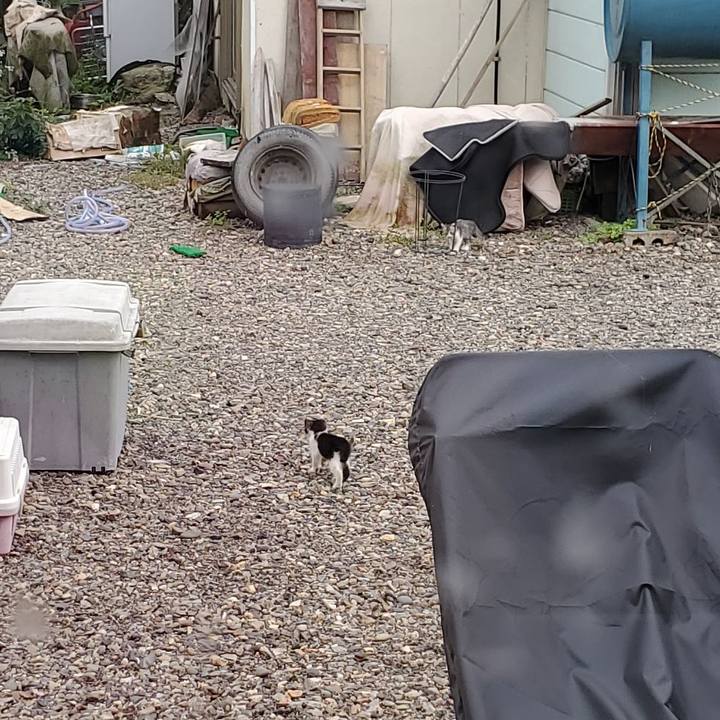 61b4e8fb 535a 4716 80f4 a6441fa4f9f8 1695375838836