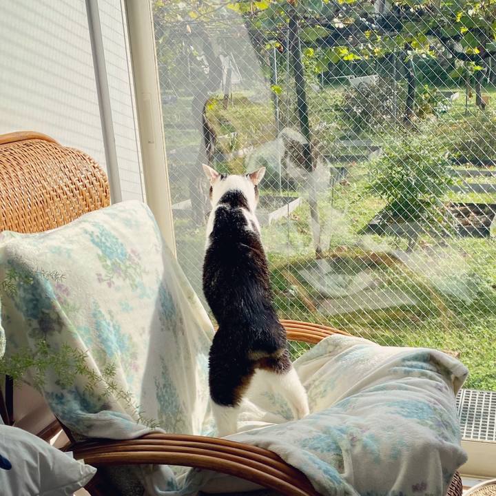 61b52ec9 0c7f 4406 a3da e08ebcd8d37e 1603152882132