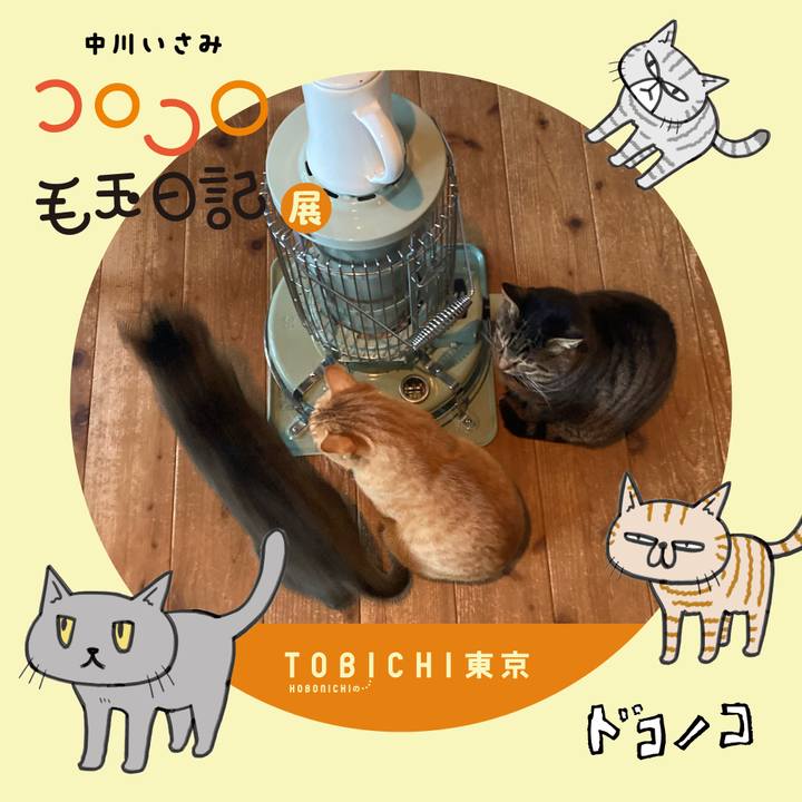 61b5315b 2574 4382 9358 b0ebd93575a0 1740144904410