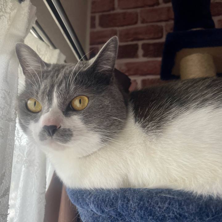 61b53d96 1e91 4818 85c6 96ddd1147bd9 1651796531484