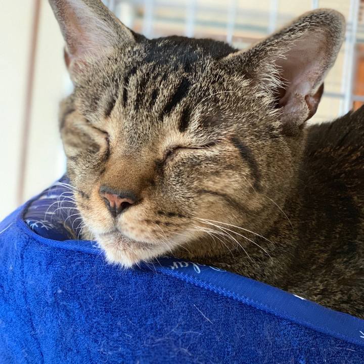 61b57f66 b0a6 46c3 a048 f7403a55b126 1566174183498