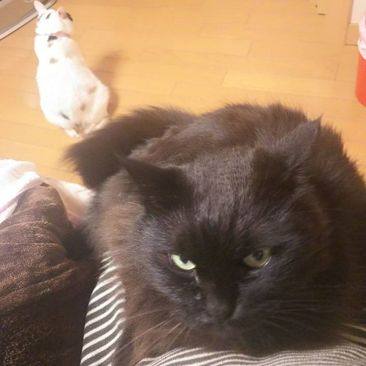 61b582d7 9241 4cbc 8cd1 4b4ec1f6e3c8 1545141349874