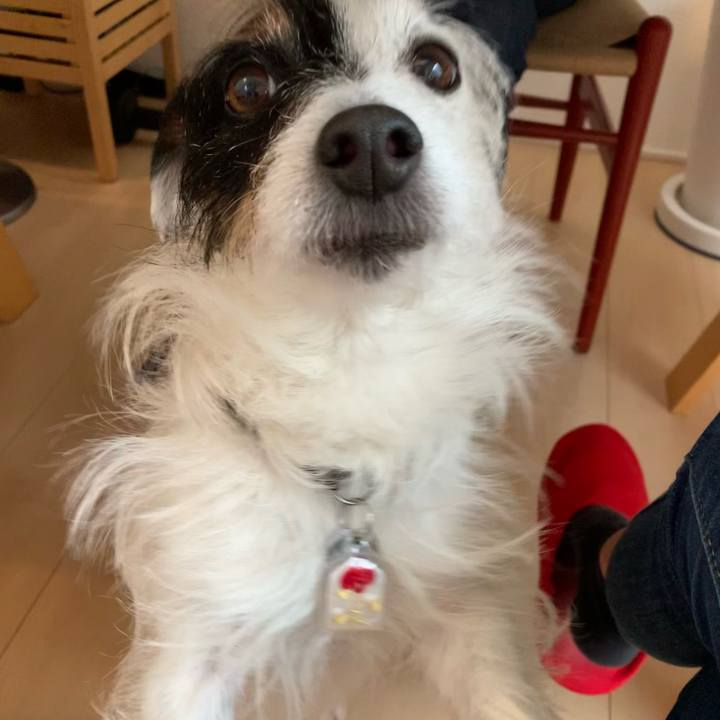 61b5d8d0 6c0b 46f2 90b9 78f6444a1ee5 1613351780421