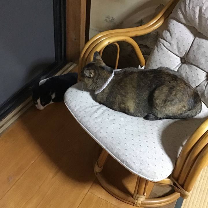 61b676db 730c 4988 9293 f81bbdf551fa 1755857935179