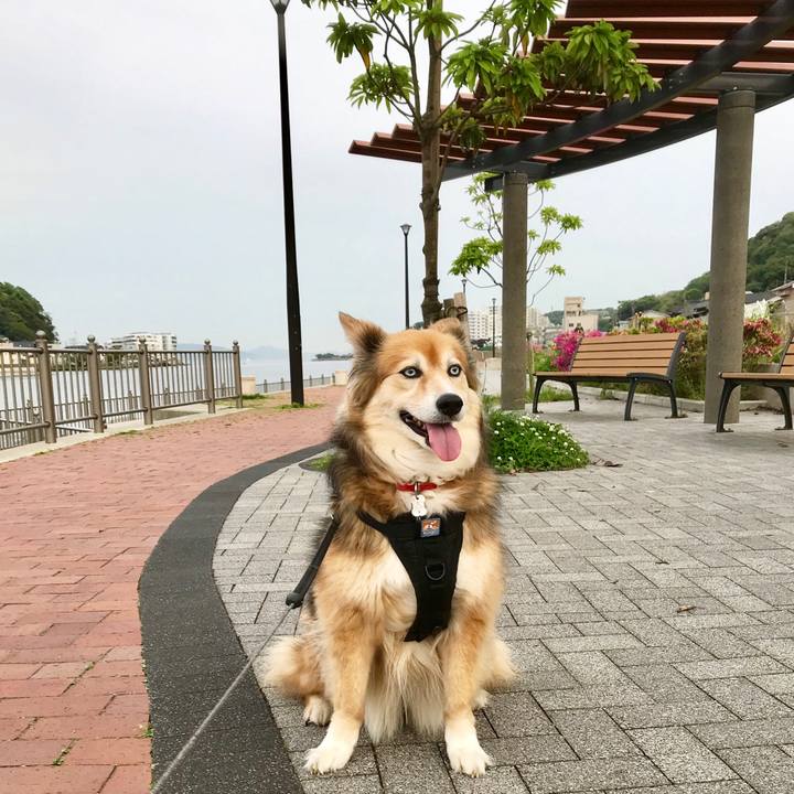 61b68e23 9d1a 4295 a4b2 881916e4b55e 1556880353523