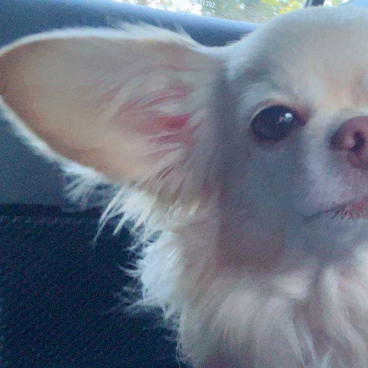 61b6a20d 3a2a 4a15 a275 27c3f57699d4 1740211346024