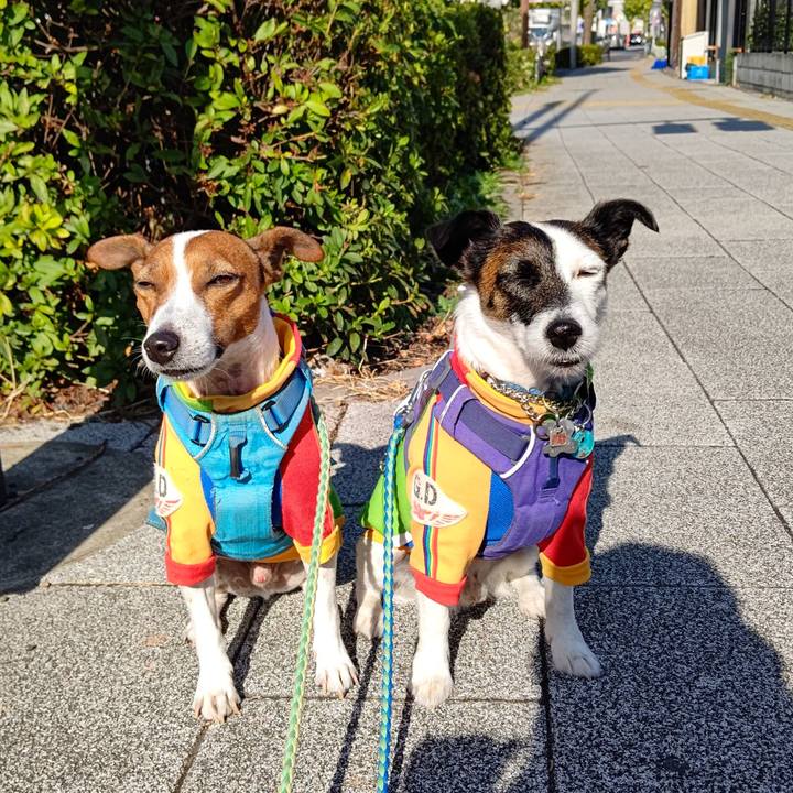 61b6d0be 6c68 4fbf 801c b96a5193e682 1667695786053