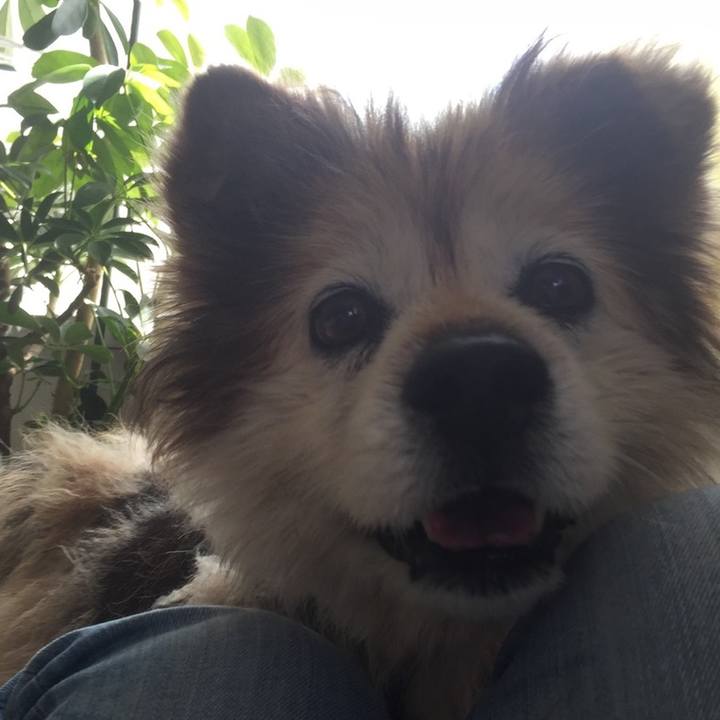 61b753e9 f2f3 4de8 964e 6023701106da 1561779871533