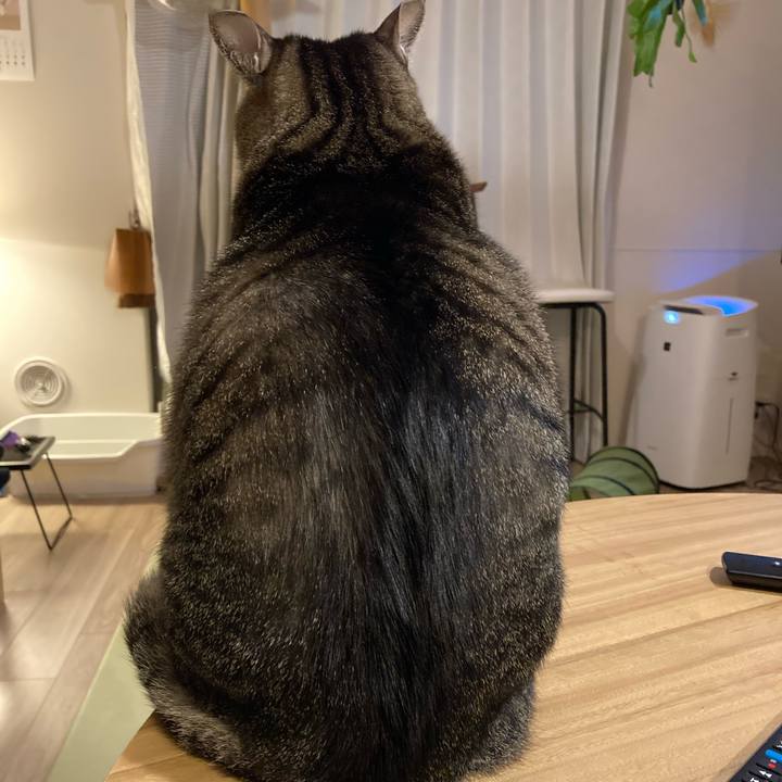 61b82185 afd8 436e 8487 581021398a7c 1668511984754