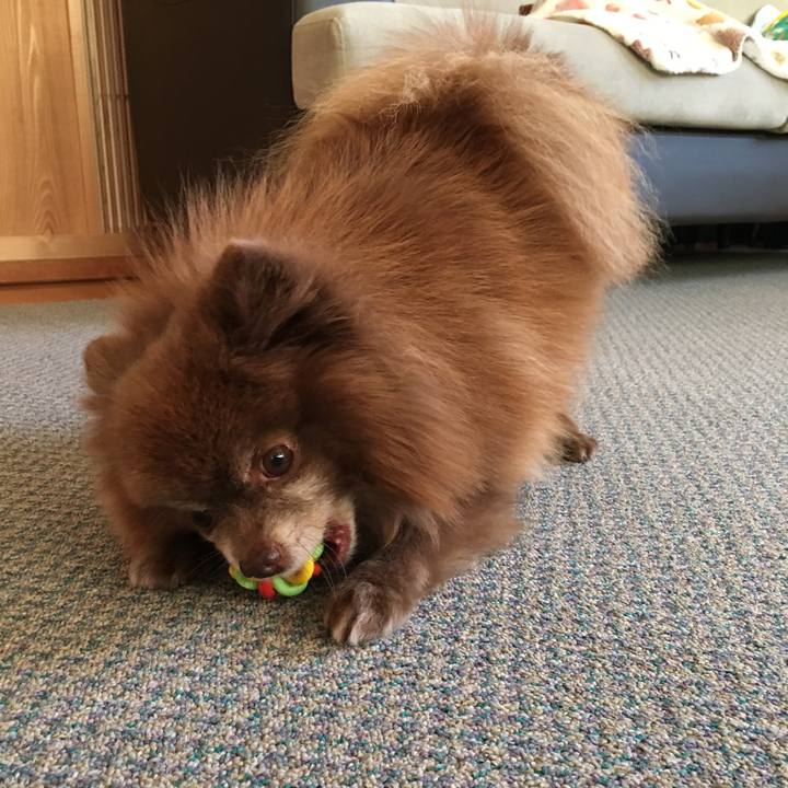 61b85b1d a25d 4e0c af1a 007aa706f9e0 1510805921000