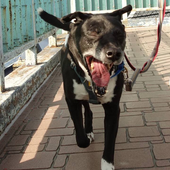 61b87e07 fa4e 4673 a2ec 2ef51dfedc22 1717031384774