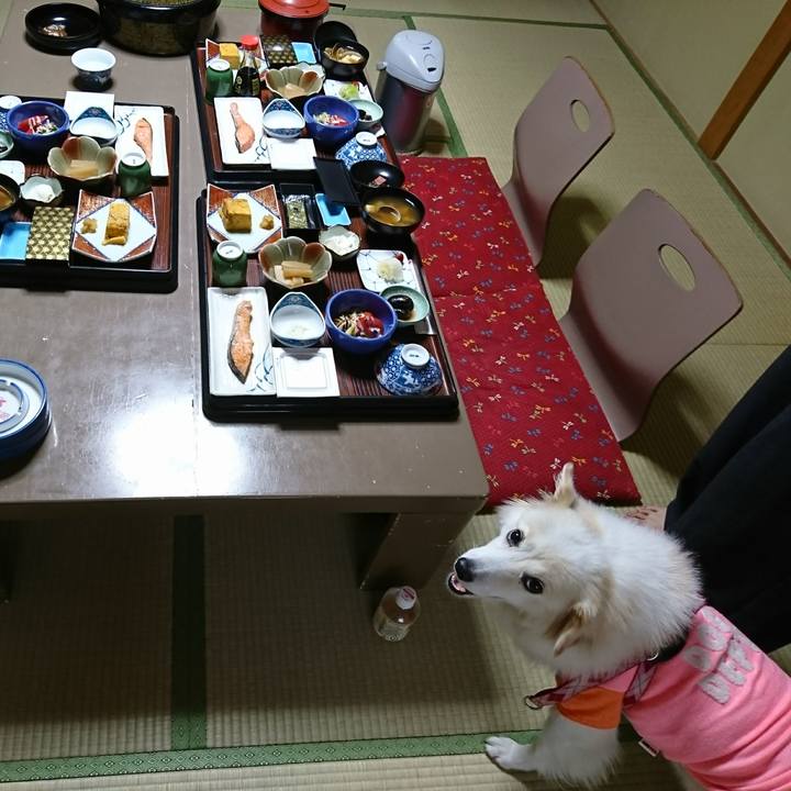 61b87e57 bae0 4c63 8c12 536776be754f 1509144580662