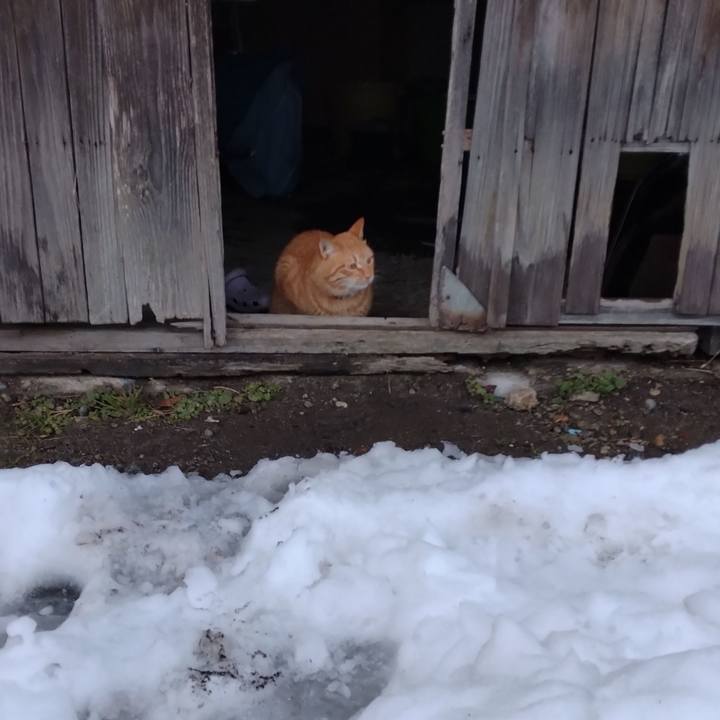 61b880f3 7e26 49d2 8881 298a1fe5c42f 1672096788375