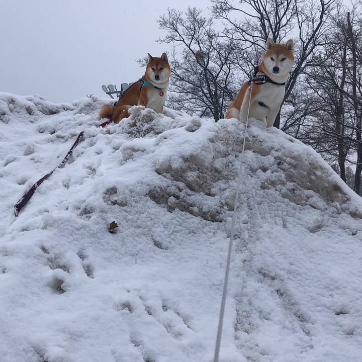 61b885f0 eed5 46c1 bab4 69304c909e55 1579841382368