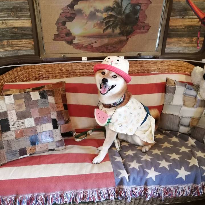 61b894c0 ad7d 4f13 a691 e73010c2e61a 1658046624327