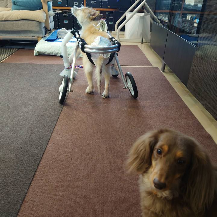 61b89bf0 7333 43ab b44b 10d4870a3117 1672290475724