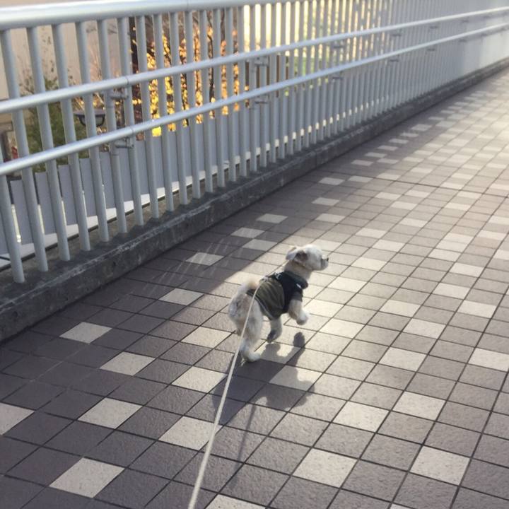 61b8ed58 344d 456e 82fb 18c017460e00 1542946642900