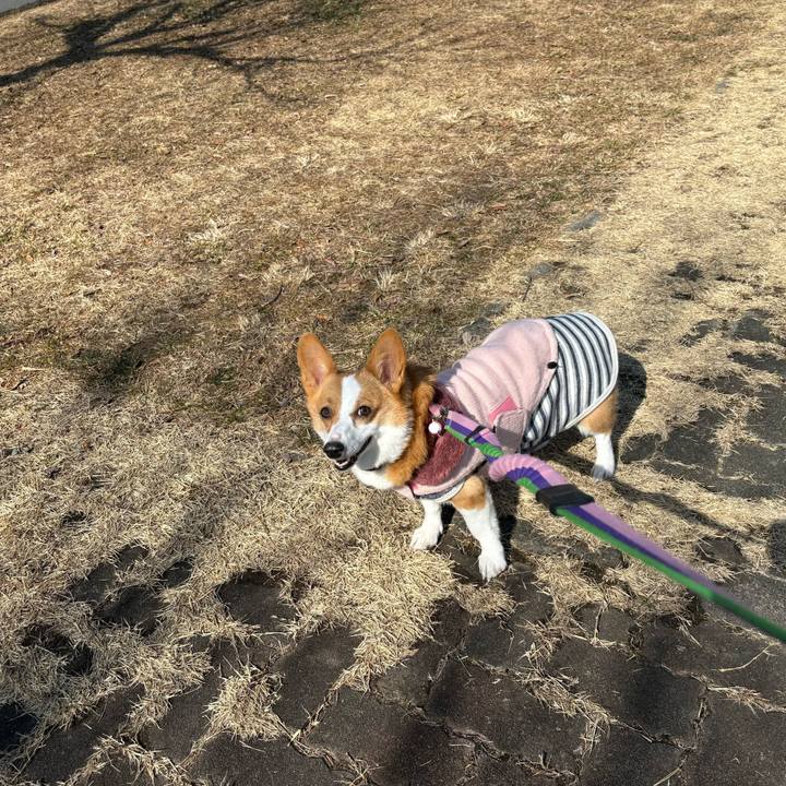 61b8f546 2ec0 41bd a032 70b156a8910d 1770702099788