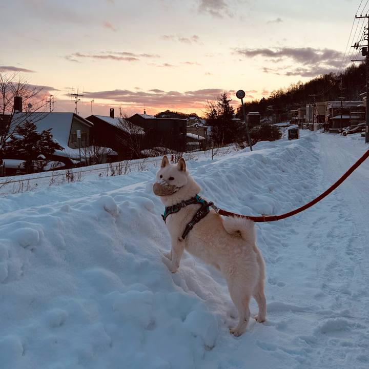 61b9078d 2bdf 48d1 9f80 7e9208ff2beb 1734388685978