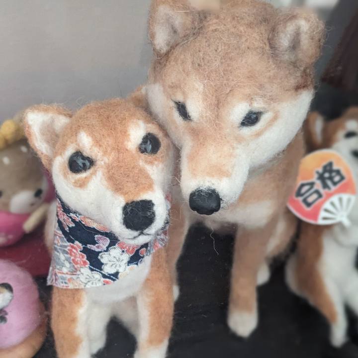 61b96299 1511 49fa a544 2dd42f1bd68d 1704292610622