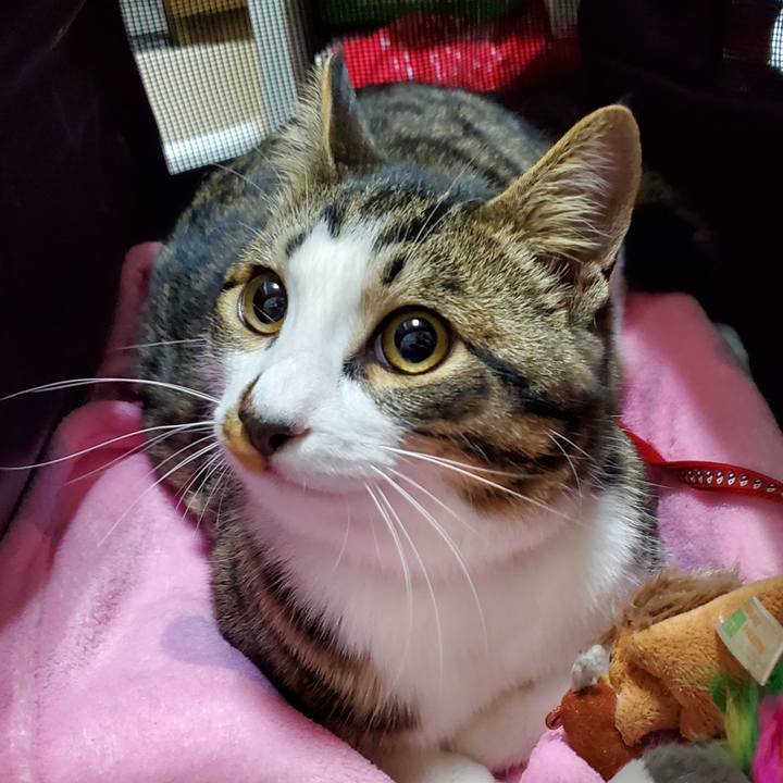 61b96a80 6a61 44f5 8f52 906742d22e3a 1735316276028