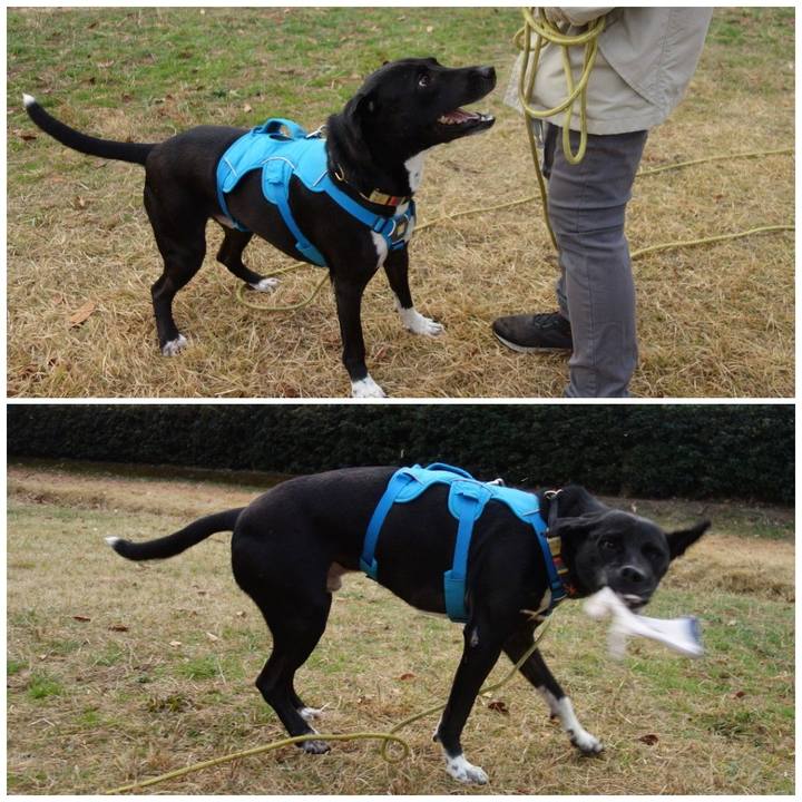 61b9a216 2806 4ec5 8ad4 b32de78efaa5 1607731768294