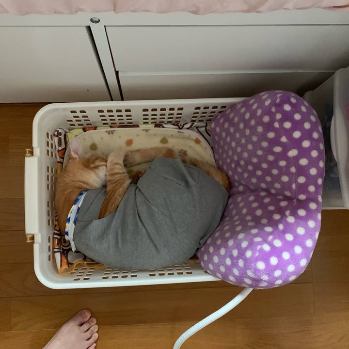 61b9a7d2 a95c 4faa b78a 319ddd518a5d 1569052366080