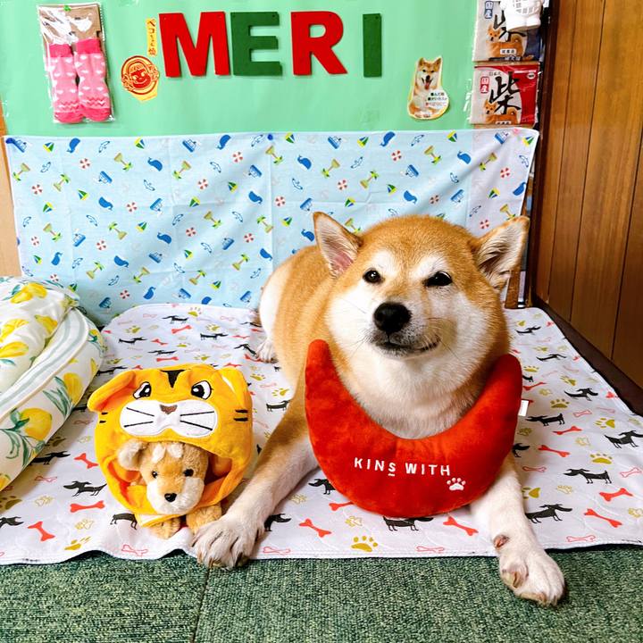 61b9a89a 9b98 4ca6 9655 4342bf5582c0 1657853235081