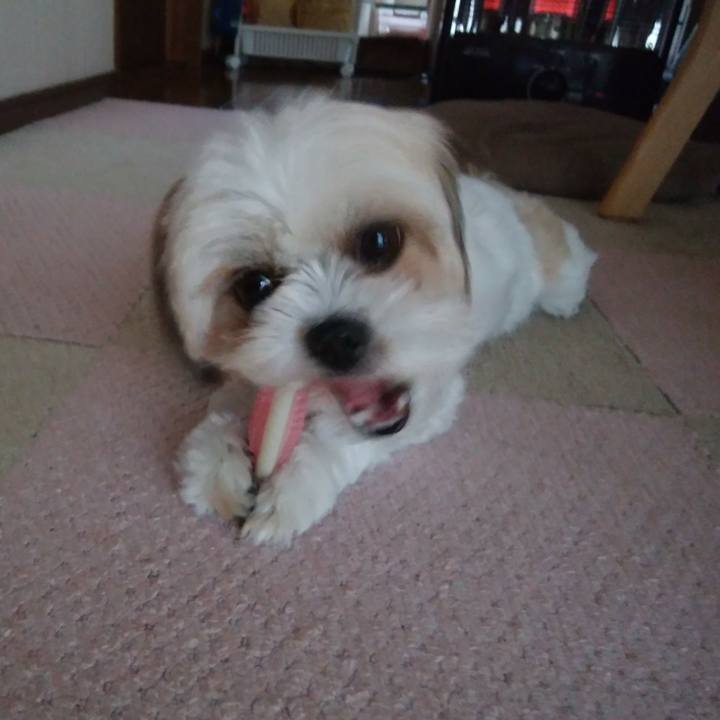 61b9a9aa 62bb 4a0f 9374 71abc00a500f 1516583202416