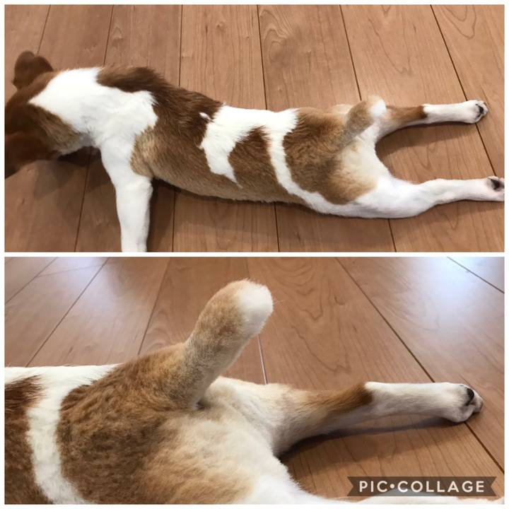 61b9b588 7dd0 4f60 b93e 80b8584b3cb2 1592364786024