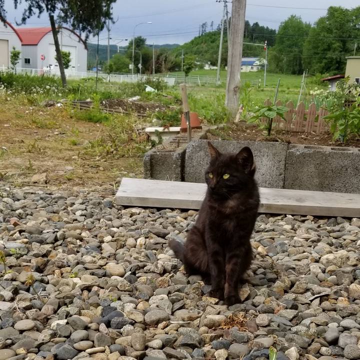 61b9c7e2 a590 4f3e 82b4 cbde7959106a 1559263534279