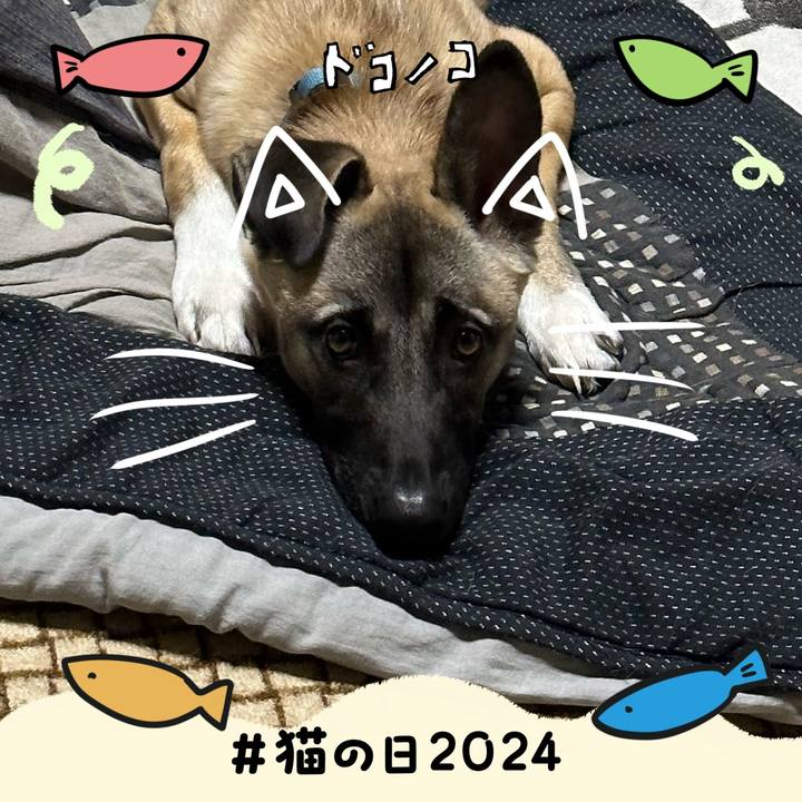 61b9fb29 7c55 4d50 9c52 a3076acb1817 1708603155625