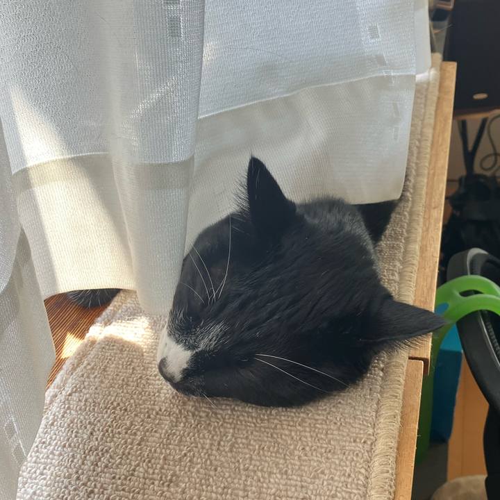 61ba0135 9de5 4f84 b57a 48887ae0724e 1709091865628